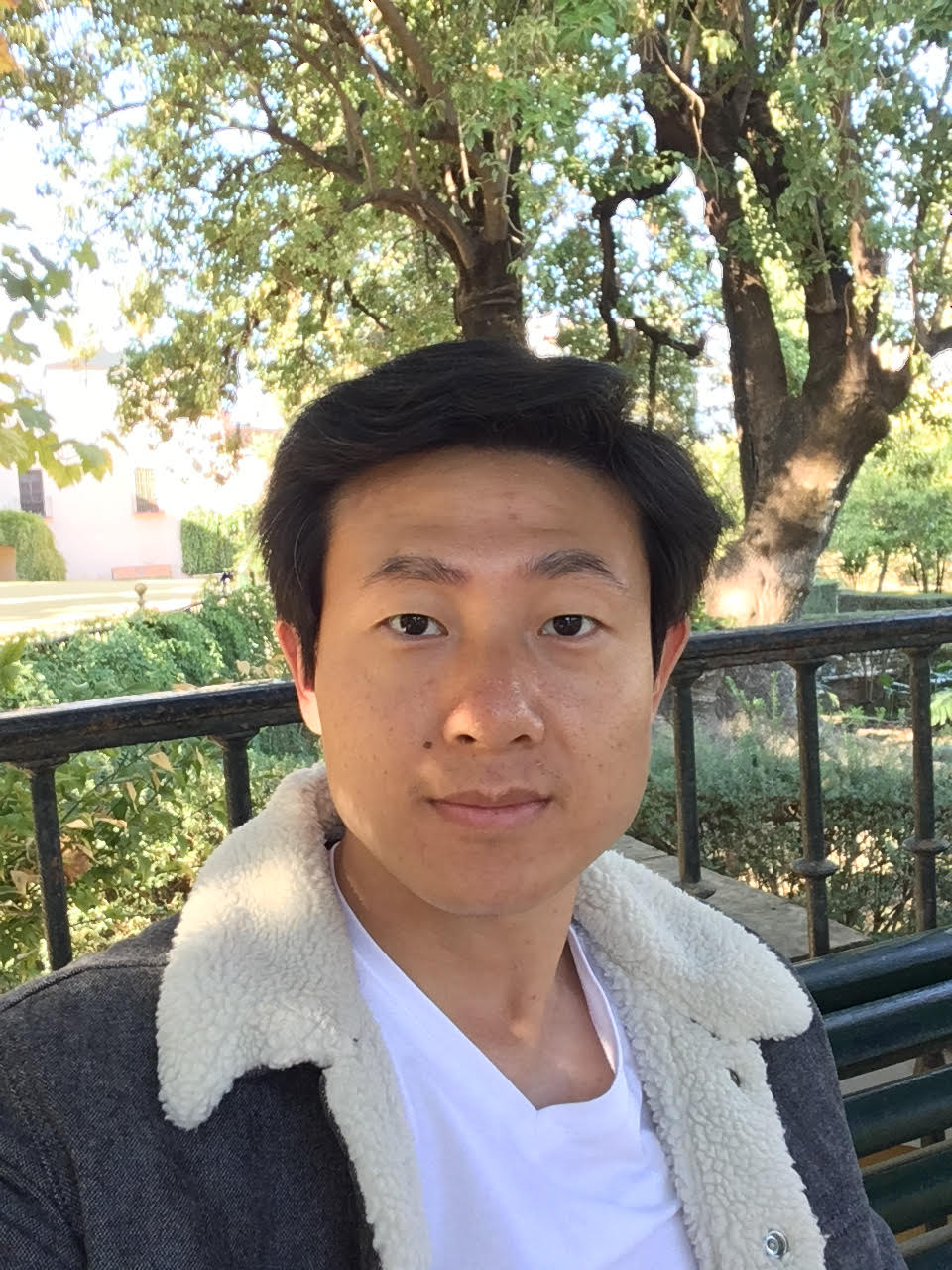 Li Wang
